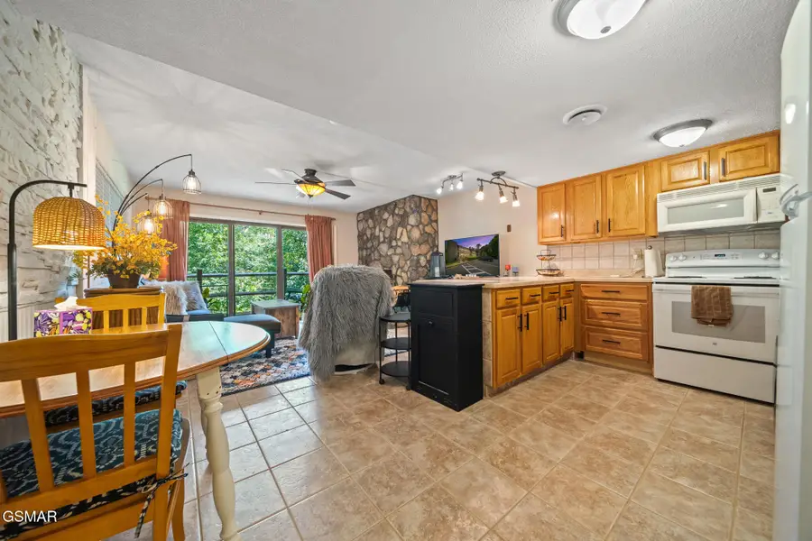 1081 Cove Road #APT 1011, Sevierville, TN 37876 - Image #2