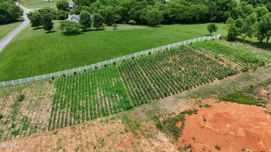 925 Holston Shores Drive, Rutledge, TN 37861 - Image #3