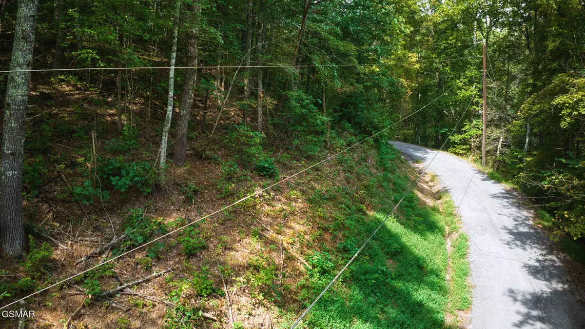 Lot 9 Stepping Stone Drive, Sevierville, TN 37862 - Image #1