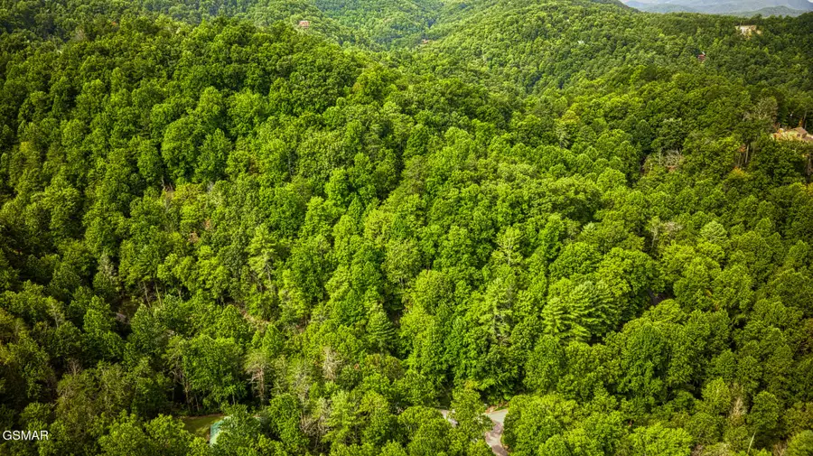 Lot 11 Stepping Stone Drive, Sevierville, TN 37862 - Image #3