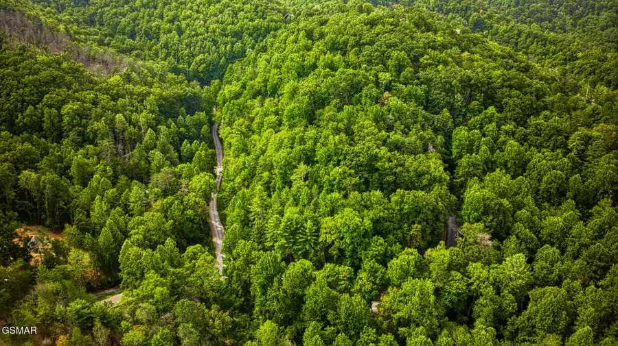 Lot 9-11 Stepping Stone Drive, Sevierville, TN 37862 - Image #3