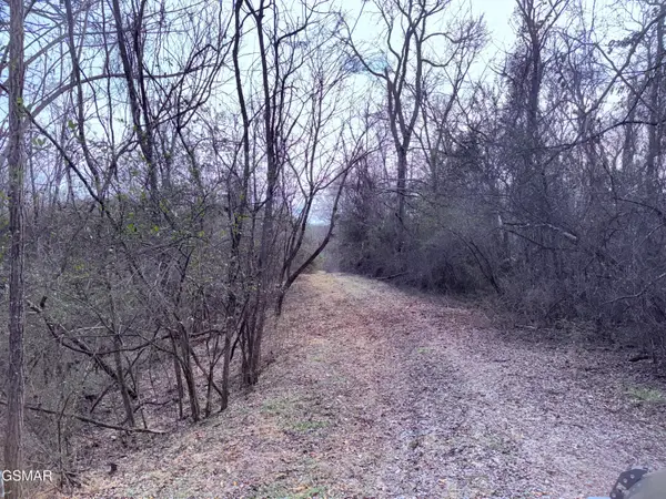 0 Chickory Road, Newport, TN 37821