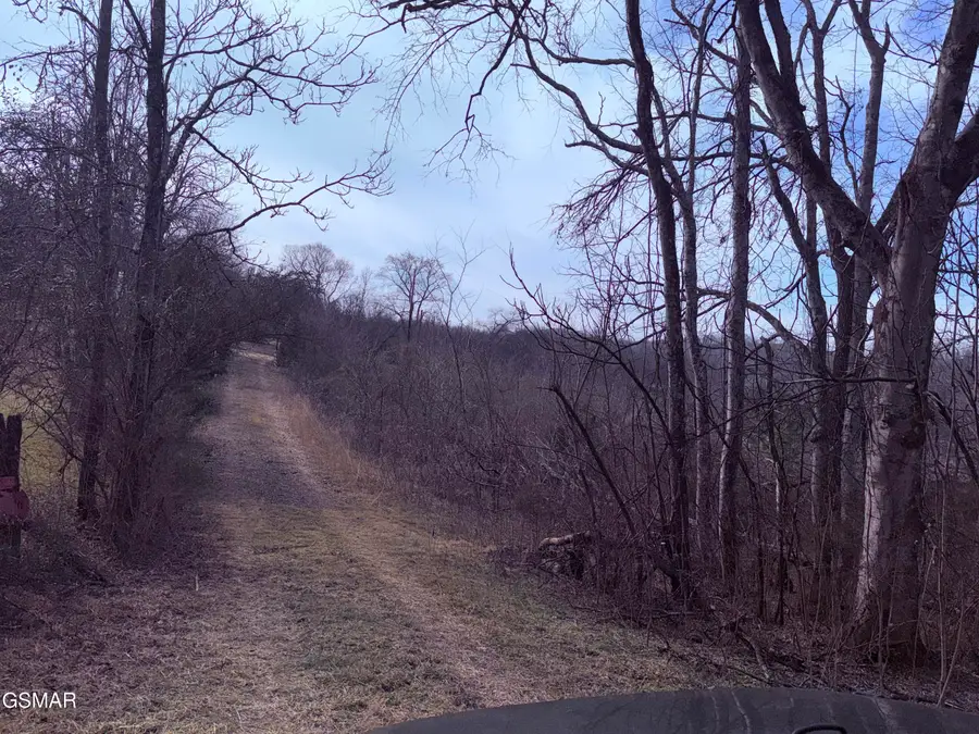 0 Chickory Road, Newport, TN 37821 - #2