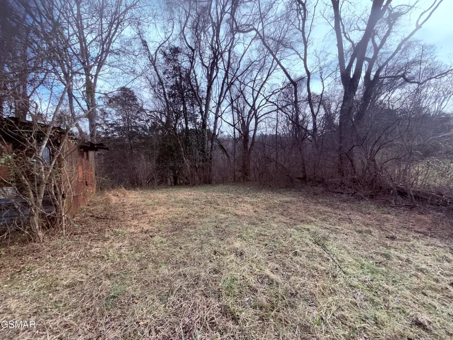 0 Chickory Road, Newport, TN 37821 - #3