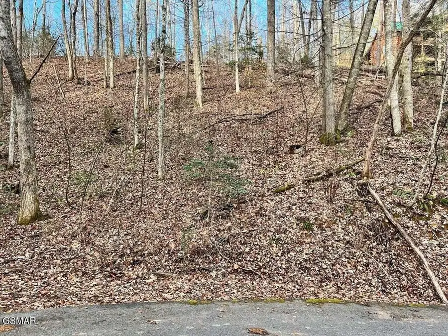 Lot 30C N Highland Drive, Gatlinburg, TN 37738 - Image #2