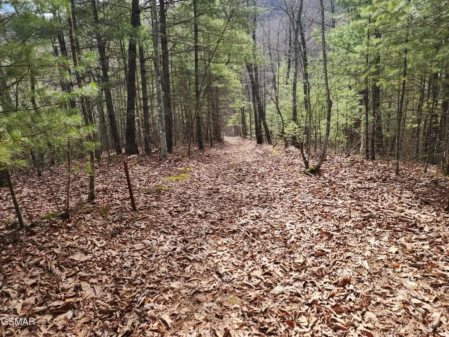 0 Dockery Branch Road, Sevierville, TN 37876 - #3