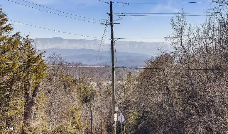 403 Happy Hollow Lane, Sevierville, TN 37876 - #3