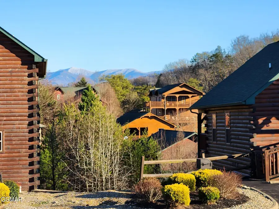 1663 Falls Way, Pigeon Forge, TN 37863 - #3