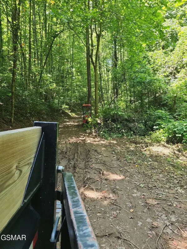 0 Lower Rinehart Road, Dandridge, TN 37725