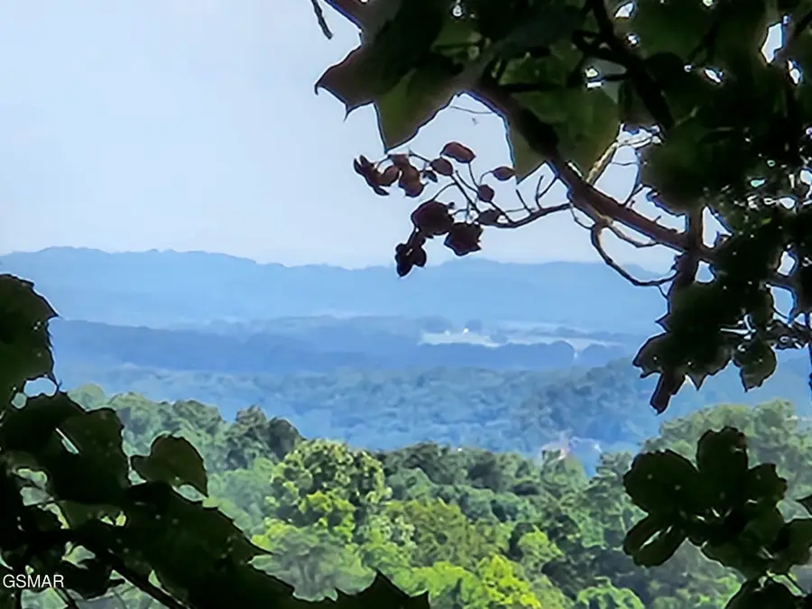 0 Lower Rinehart Road, Dandridge, TN 37725 - #2