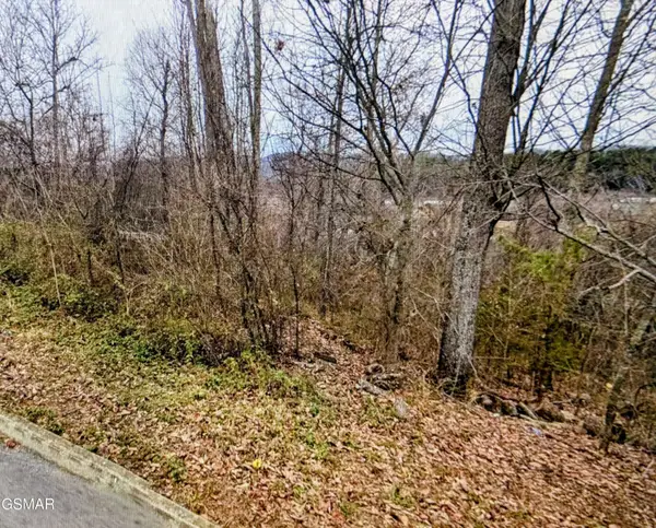 Lot 141 Low Valley Rd Road, Dandridge, TN 37725