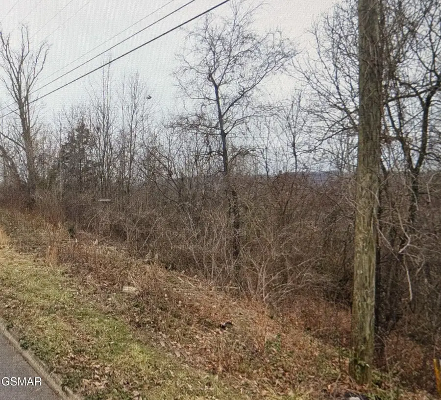 Lot 141 Low Valley Rd Road, Dandridge, TN 37725 - #2