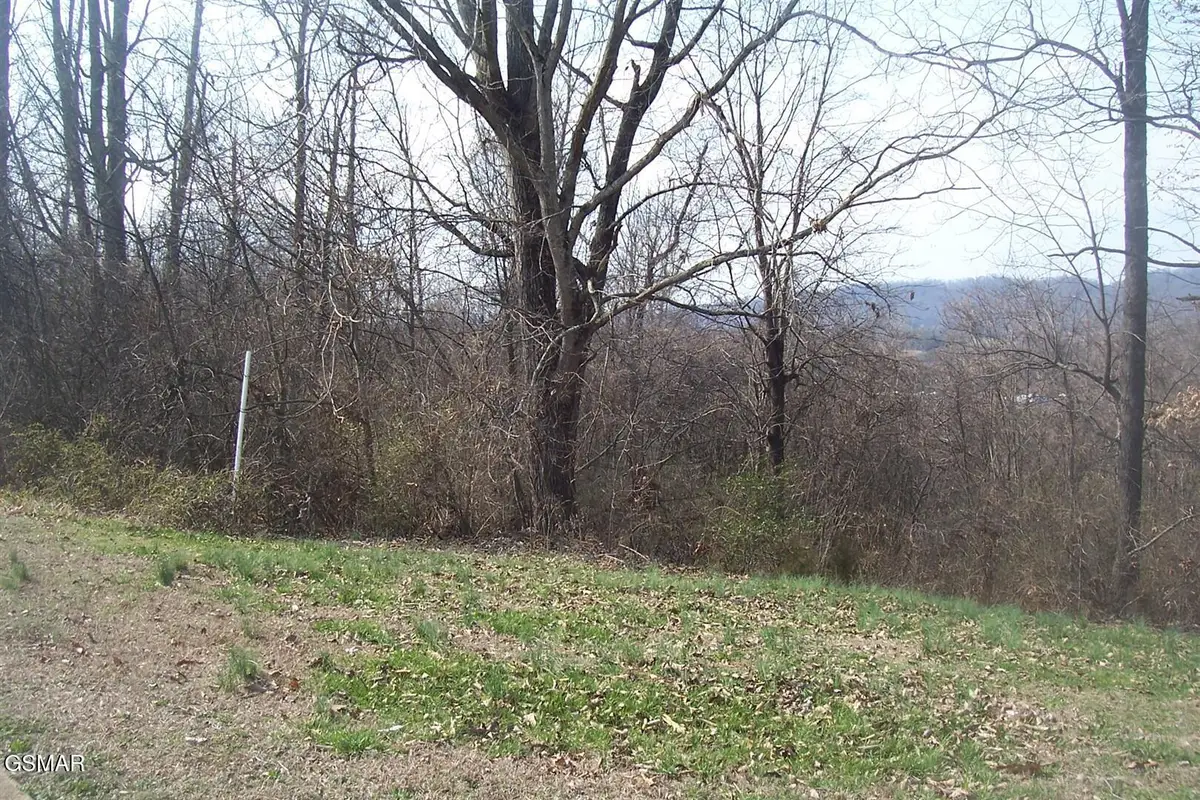 Lot 142 Low Valley Road, Dandridge, TN 37725 - #1