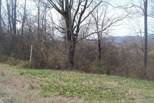 Lot 142 Low Valley Road, Dandridge, TN 37725