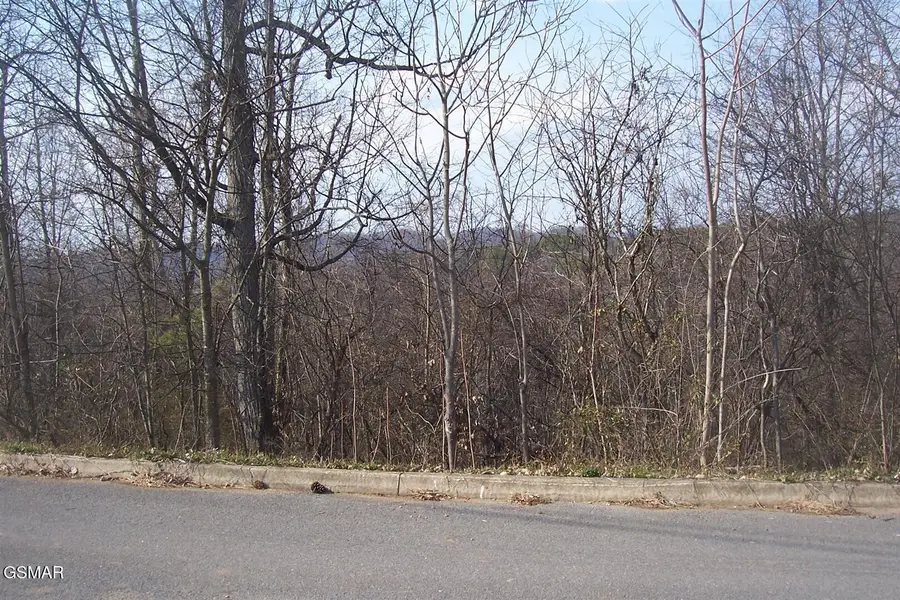 Lot 142 Low Valley Road, Dandridge, TN 37725 - #3