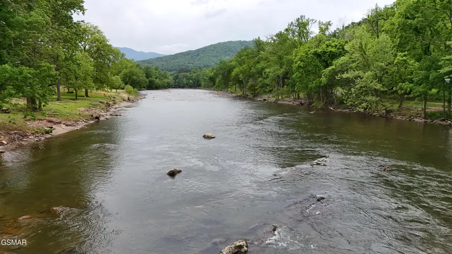 2259 Hartford Road, Cosby, TN 37722 - #2