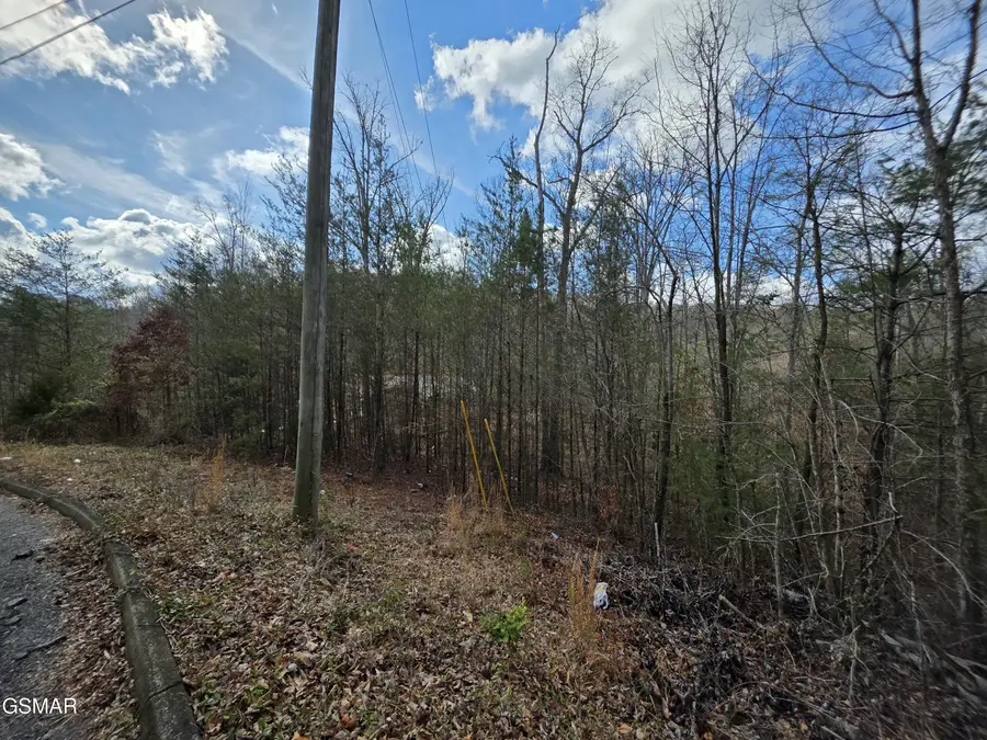 Lot 128 Bear Valley, Sevierville, TN 37876 - #3