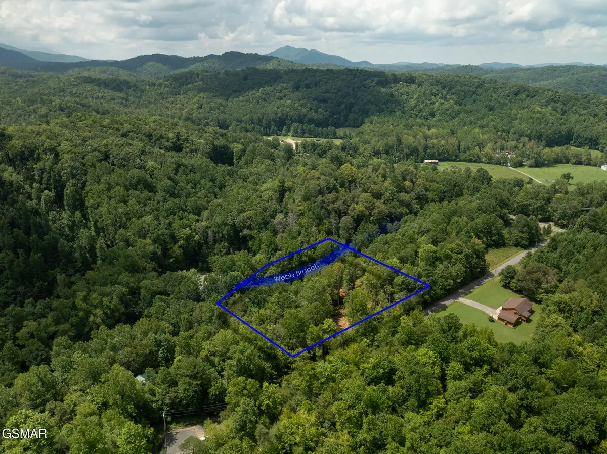Lot 5/6 Ardell Way, Cosby, TN 37722 - #1