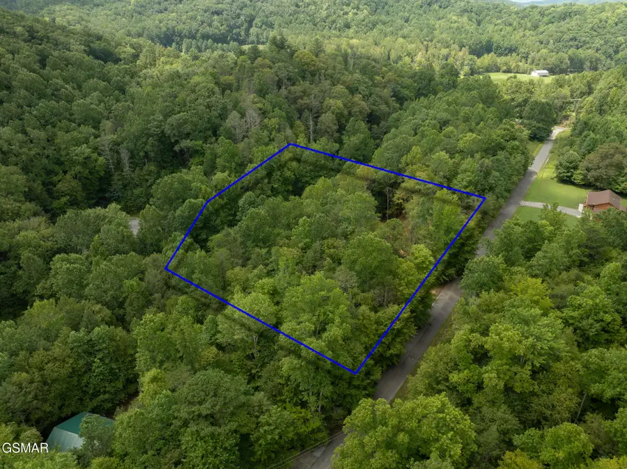 Lot 5/6 Ardell Way, Cosby, TN 37722 - #2