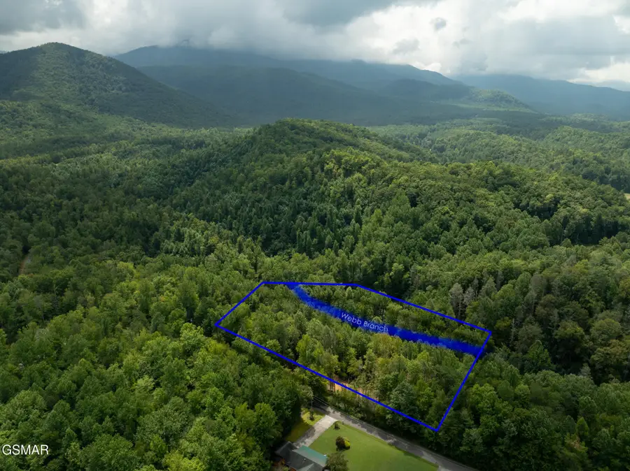 Lot 5/6 Ardell Way, Cosby, TN 37722 - #3