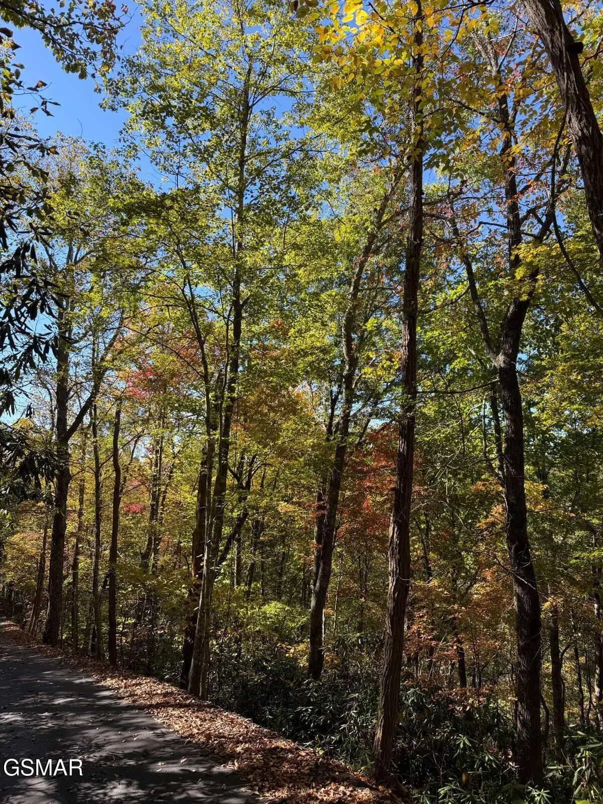 0 Ownby Circle, Gatlinburg, TN 37738 - #1