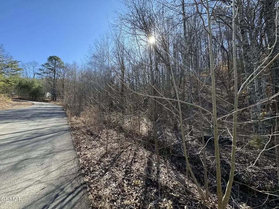 Lot 27 Blue Springs Way, Newport, TN 37821 - #2