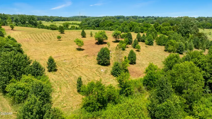 Lot 7 Thorngrove Pike, Kodak, TN 37764 - #2