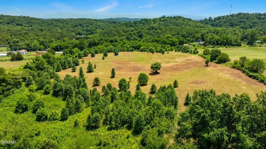 Lot 7 Thorngrove Pike, Kodak, TN 37764 - #3