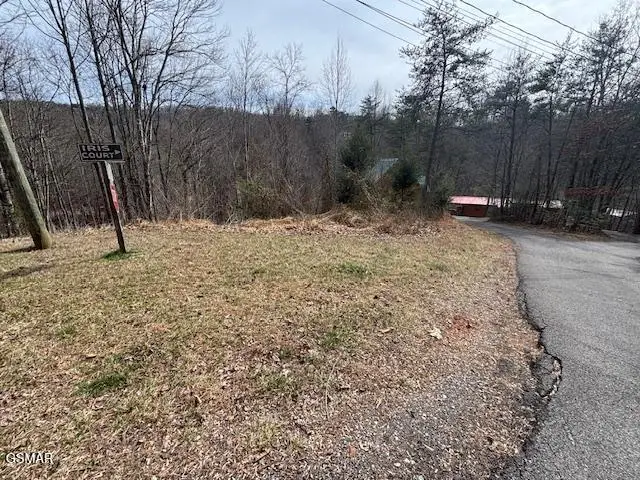 Lot 445 Sky View Lane, Sevierville, TN 37876 - #1