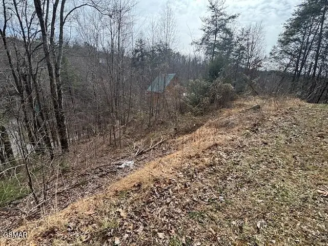 Lot 445 Sky View Lane, Sevierville, TN 37876 - #2