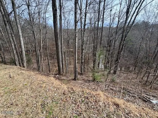 Lot 444 Sky View, Sevierville, TN 37876 - #1