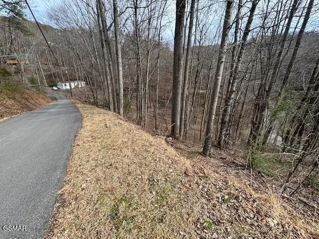 Lot 444 Sky View, Sevierville, TN 37876 - #2