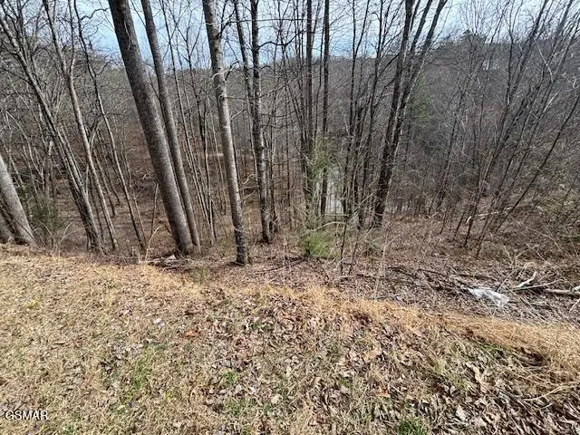 Lot 444 Sky View, Sevierville, TN 37876 - #3