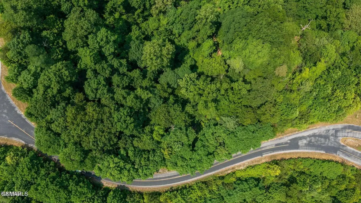 Lot 60W Longhunter Lane, Sevierville, TN 37862 - #1