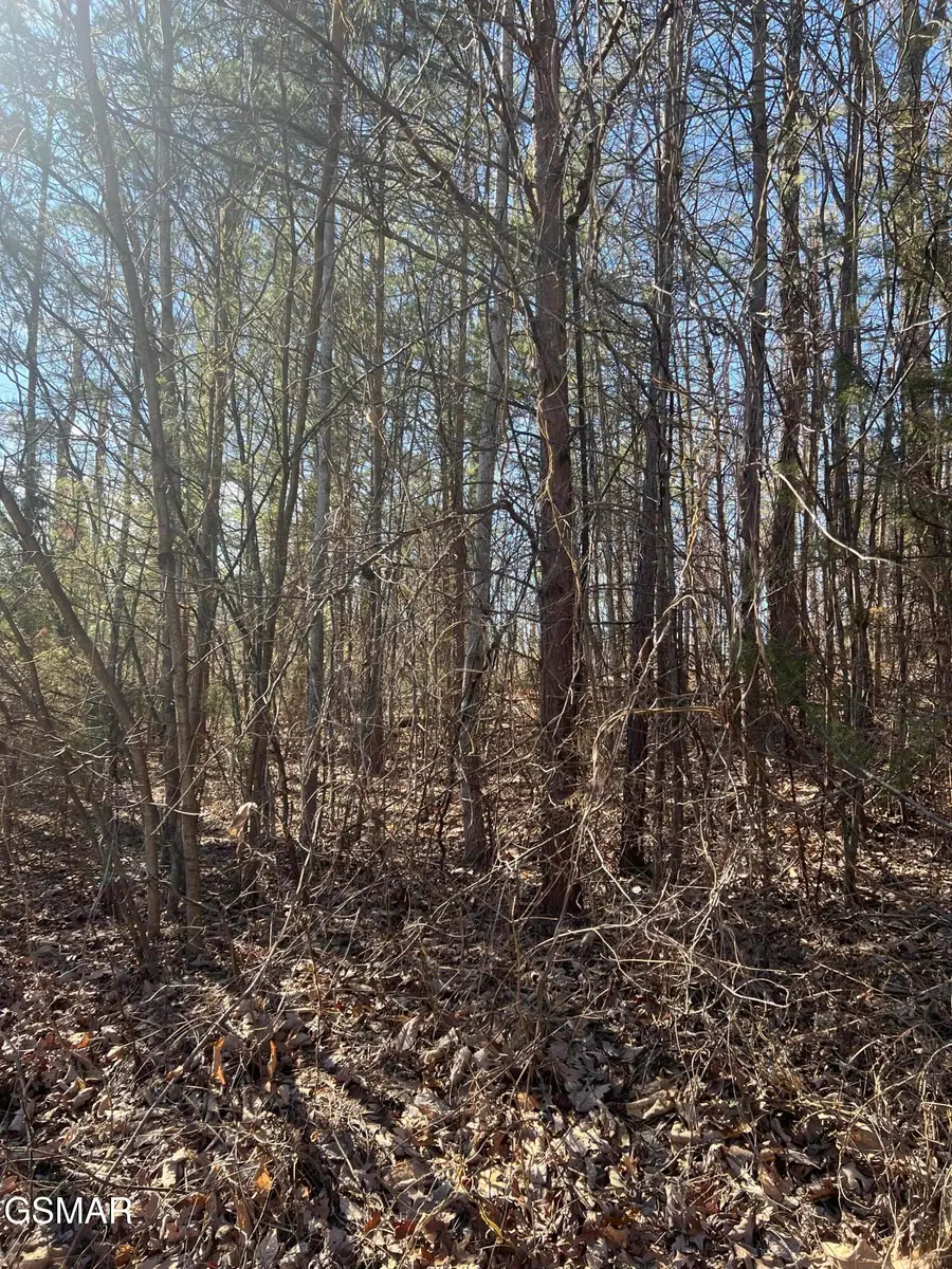 1008 Country Mountain Road, Cosby, TN 37722 - #3