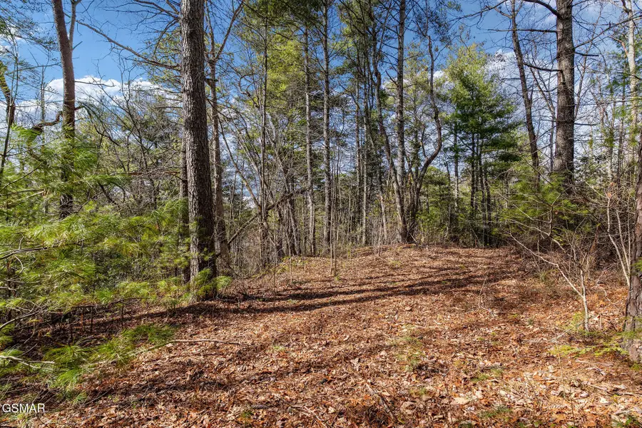 Lot 12 Paint Horse Way, Sevierville, TN 37876 - #3