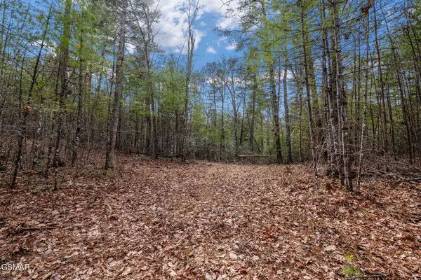 Lot 14 Paint Horse Way, Sevierville, TN 37876