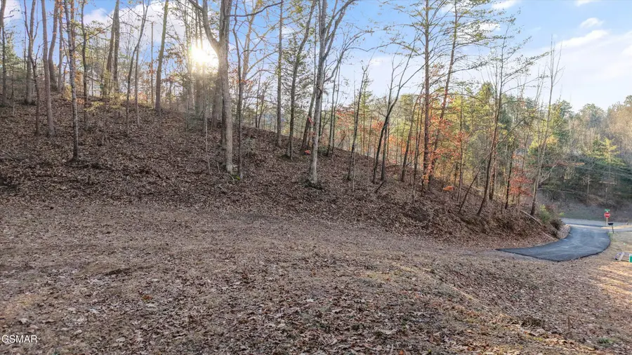 619 Cedar Road, Pigeon Forge, TN 37863 - #3