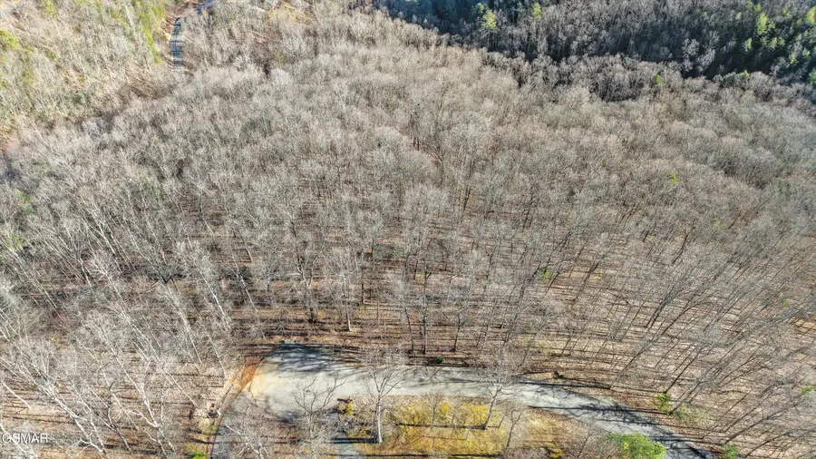 3912 Patriot Lane, Sevierville, TN 37862 - #2