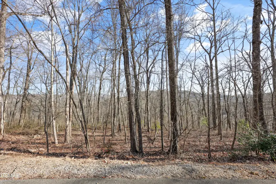 3912 Patriot Lane, Sevierville, TN 37862 - #3