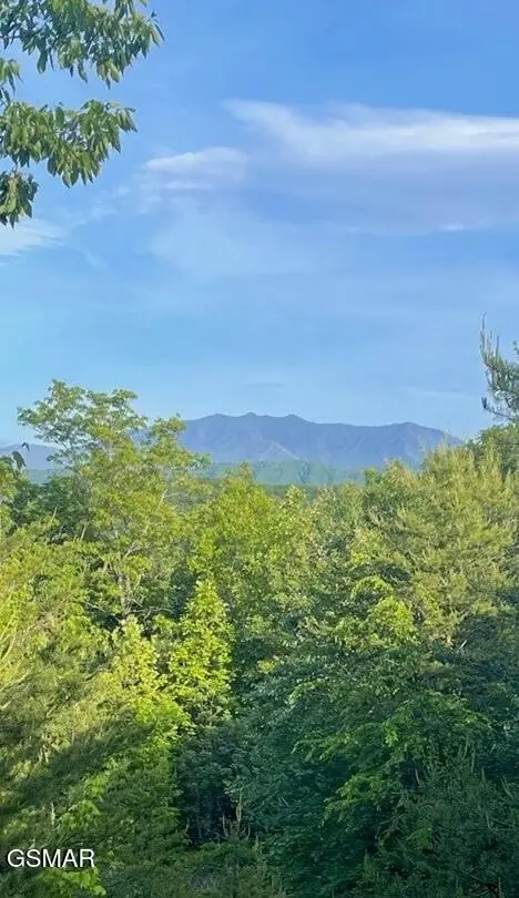 Lot 27 Trace Way, Sevierville, TN 37862 - #2