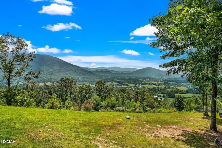 2491 Black Bear Ridge Way, Sevierville, TN 37862 - #3