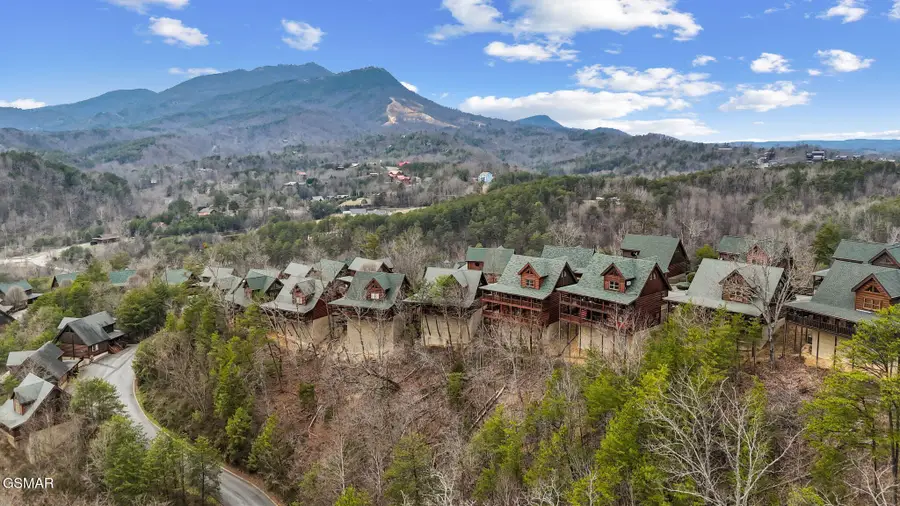 2006 Cougar Crossing Way, Sevierville, TN 37876 - #3