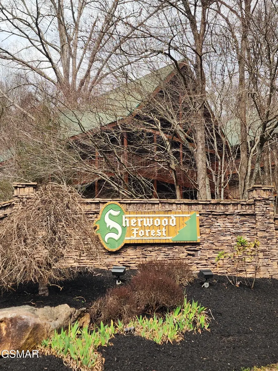 4408 Forest Vista Way, Pigeon Forge, TN 37863 - #2