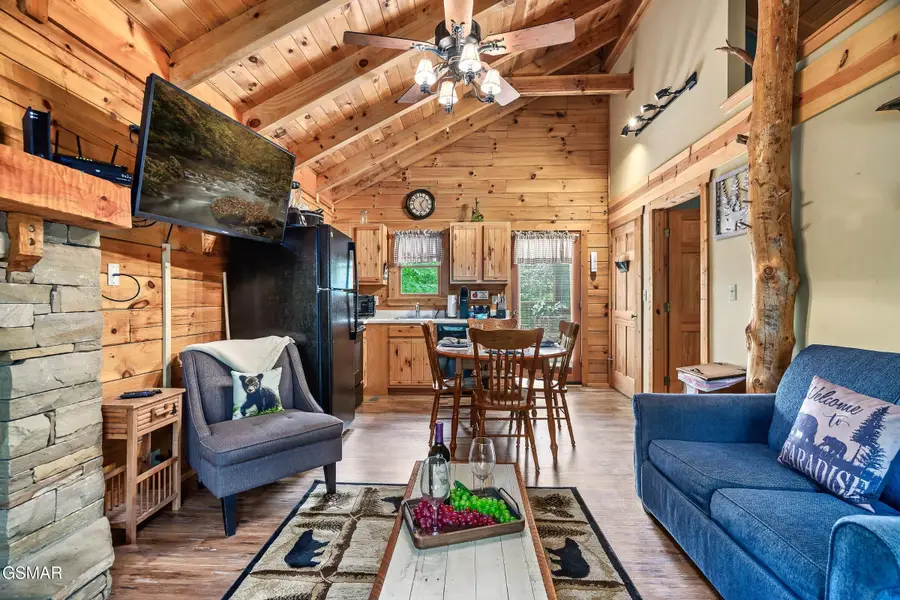 722 Nighthawk Way, Pigeon Forge, TN 37863 - #3