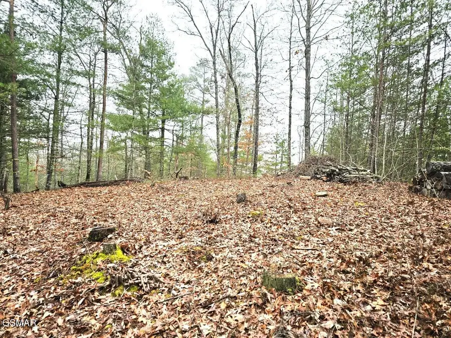 514 Percussion Court, Walland, TN 37886 - #3