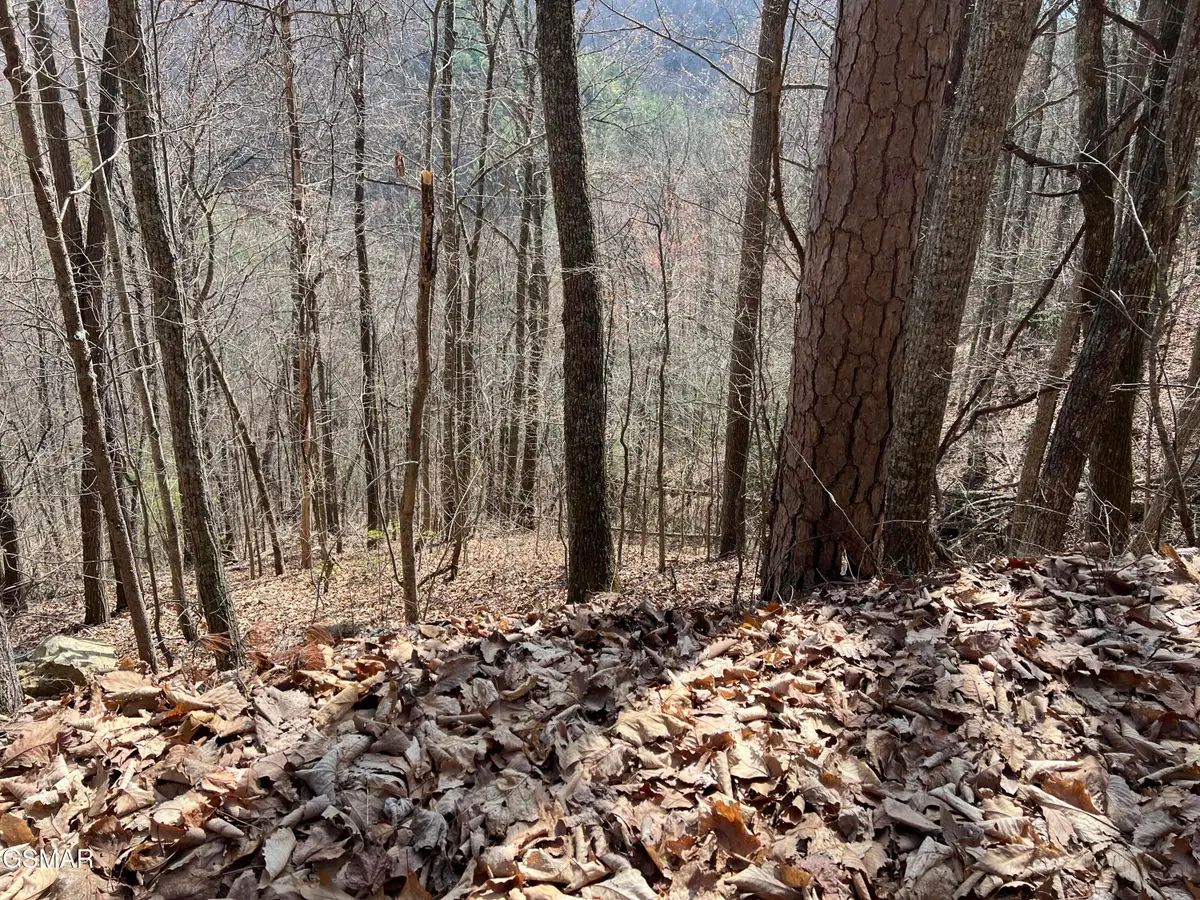 Lot 28 Laurel Lane, Sevierville, TN 37876 - #1
