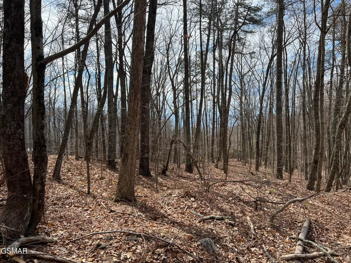 Lot 18 Clingmans View, Sevierville, TN 37876 - #1