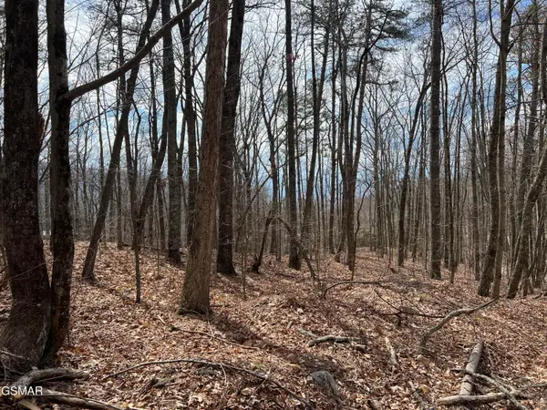 Lot 18 Clingmans View, Sevierville, TN 37876