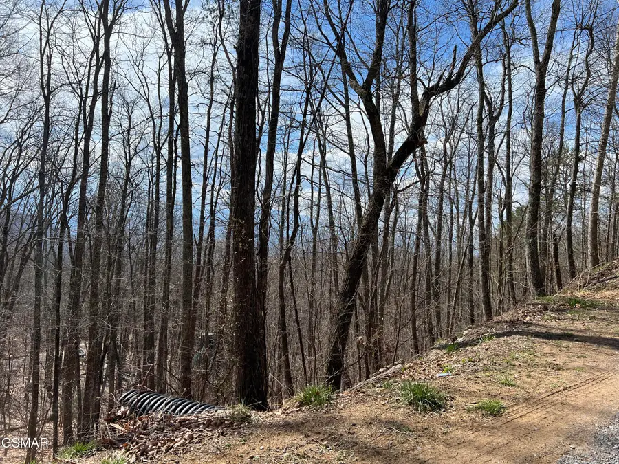 Lot 18 Clingmans View, Sevierville, TN 37876 - #3
